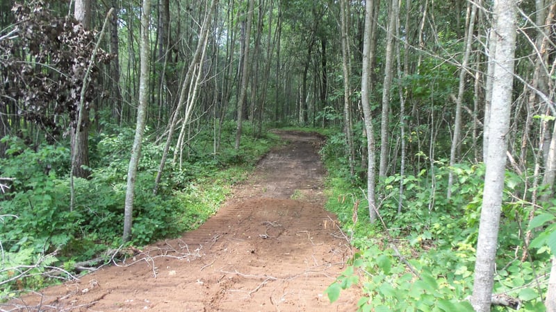 Lot 1 Brch Tree Trl, Spooner, WI 54801
