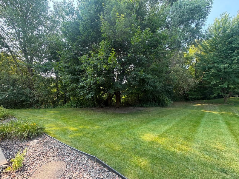 847 Vista Cir, Delano, MN 55328