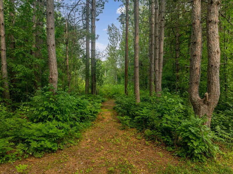 TBD Hanson Lake Rd, Grand Rapids, MN 55744