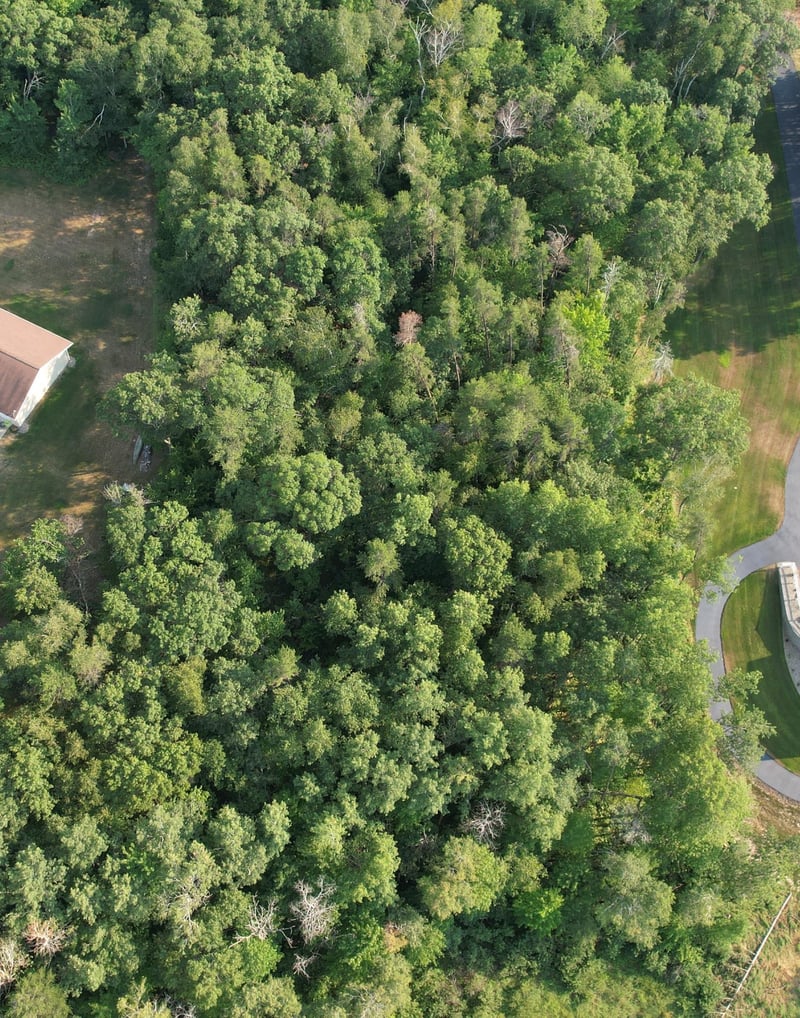 TBD Solitude Way, Merrifield, MN 56465