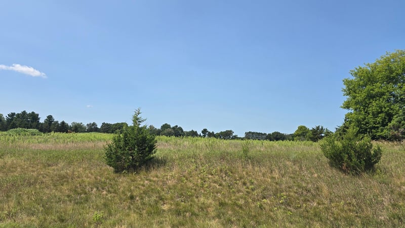 19xxx Tamarack St NW, Oak Grove, MN 55011
