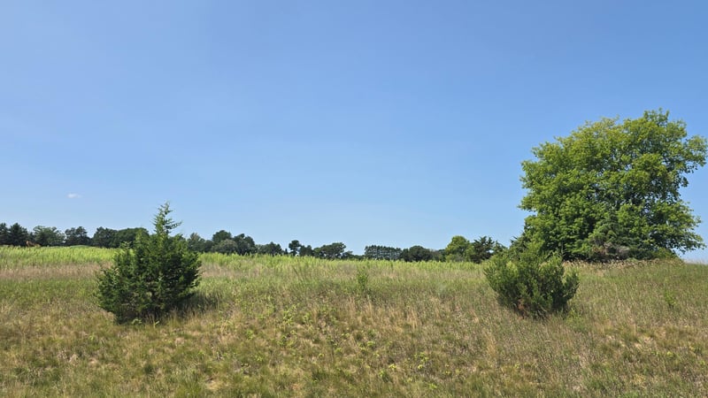 19xxx Tamarack St NW, Oak Grove, MN 55011