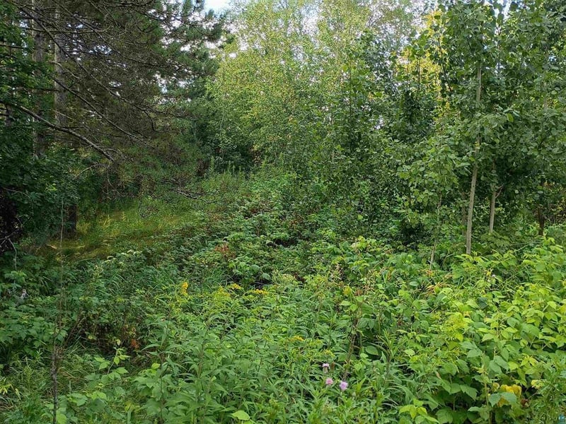 3619 Highway 33, Cloquet, MN 55720