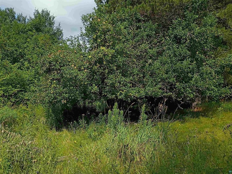3619 Highway 33, Cloquet, MN 55720