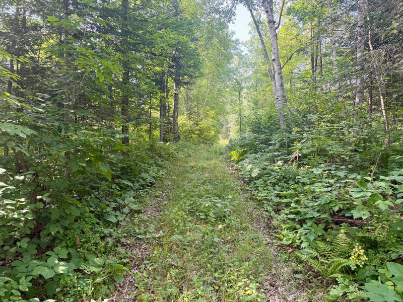 22751 County Road 1, Emily, MN 56447