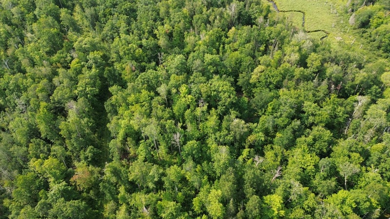 22751 County Road 1, Emily, MN 56447