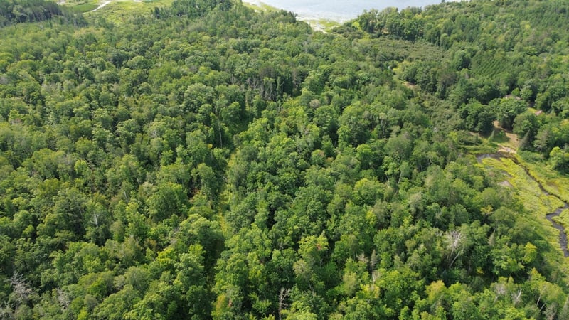 22751 County Road 1, Emily, MN 56447