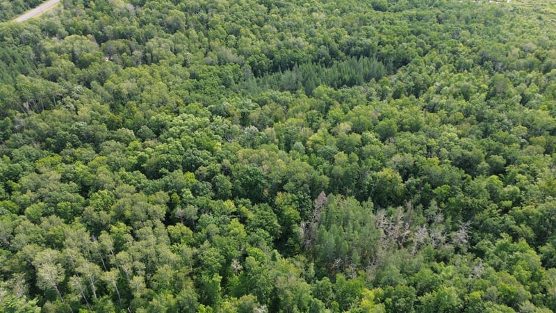22751 County Road 1, Emily, MN 56447