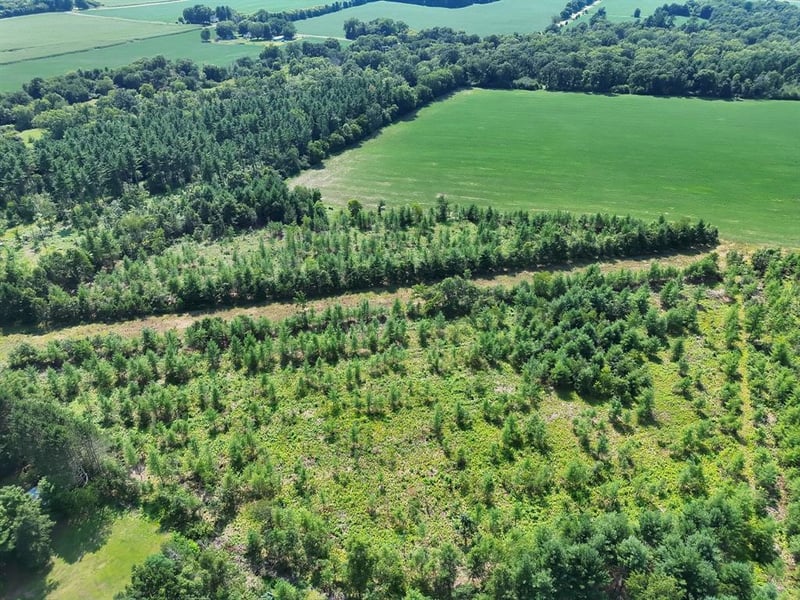 Hwy 79 Highway, Boyceville, WI 54725