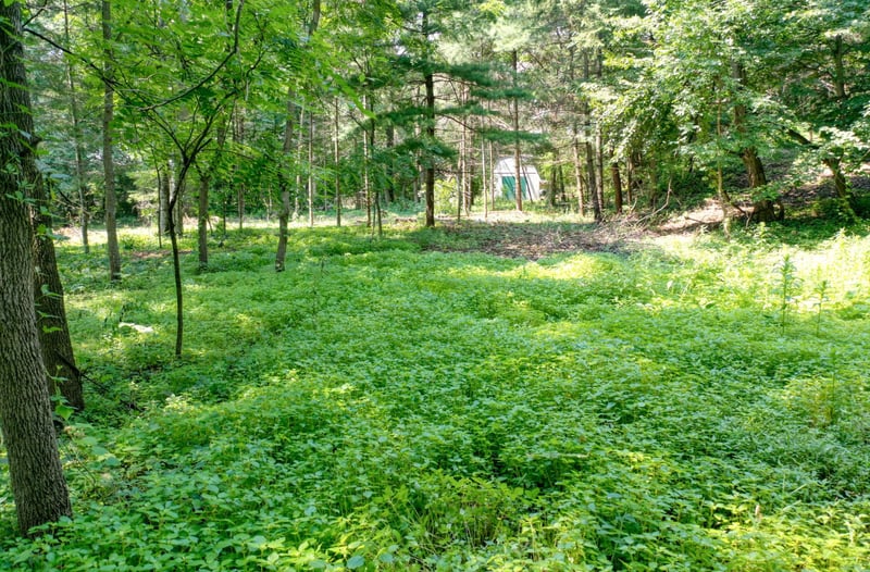TBD 219th Street N, Forest Lake, MN 55025