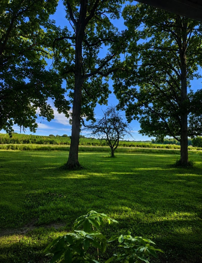 465 70th Ave, Clayton, WI 54004
