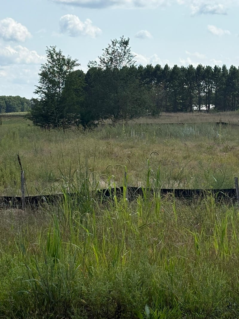 TBD 363rd St, North Branch, MN 55056