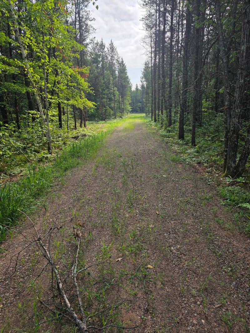 25942 Clark Rd, Webster, WI 54893