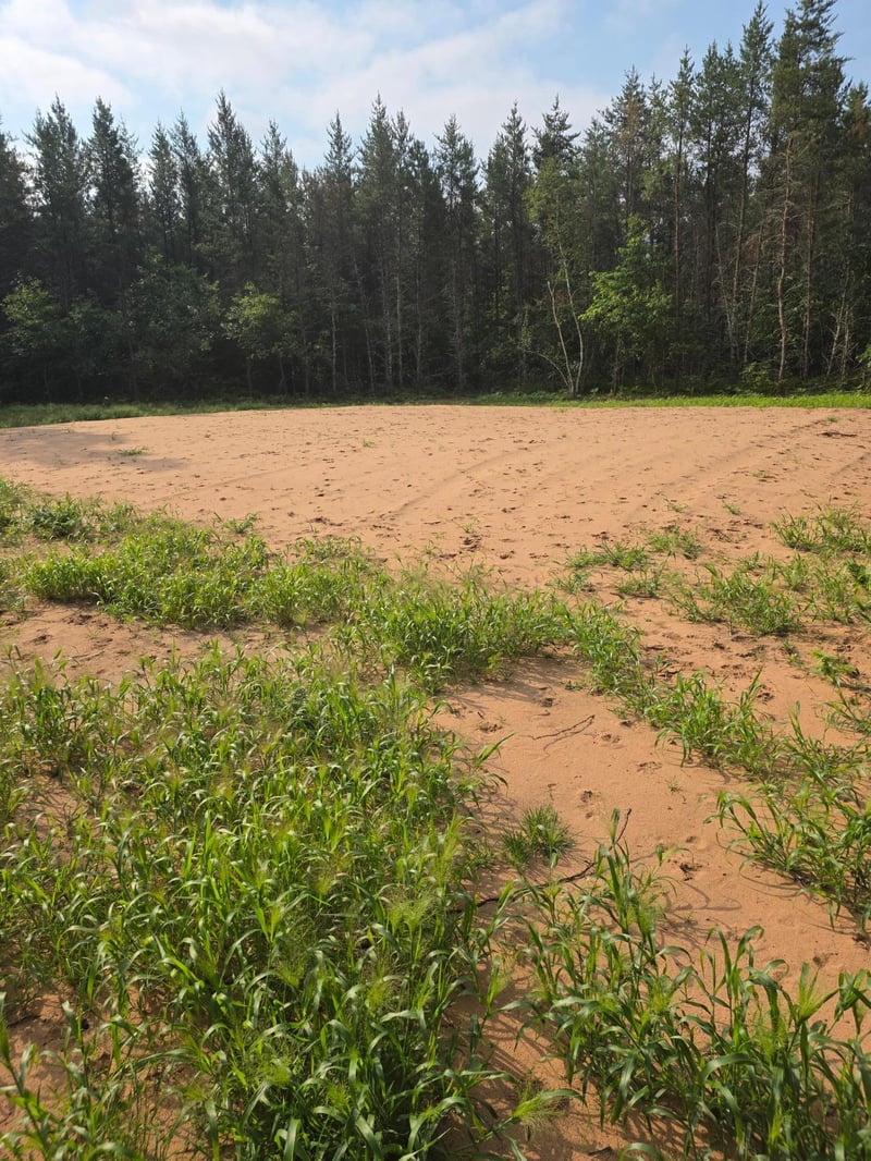 25942 Clark Rd, Webster, WI 54893