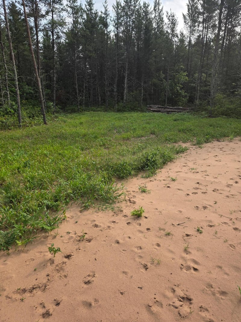 25942 Clark Rd, Webster, WI 54893