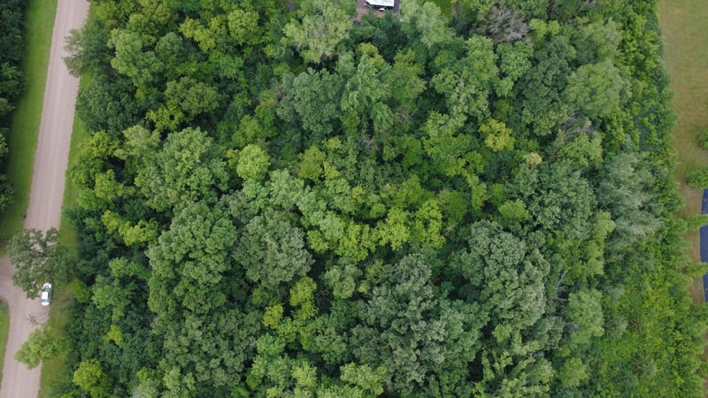 TBD Elderberry Ct, Glencoe, MN 55336