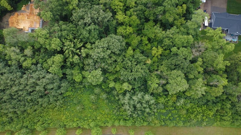 TBD Elderberry Ct, Glencoe, MN 55336