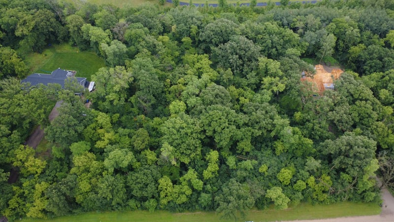 TBD Elderberry Ct, Glencoe, MN 55336
