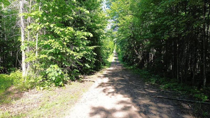 12XX Reeves Rd, Two Harbors, MN 55616
