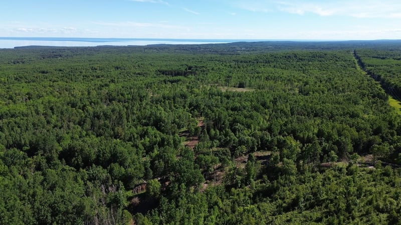 12XX Reeves Rd, Two Harbors, MN 55616