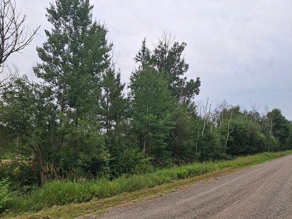 10650 W Toivola Rd, Meadowlands, MN 55765