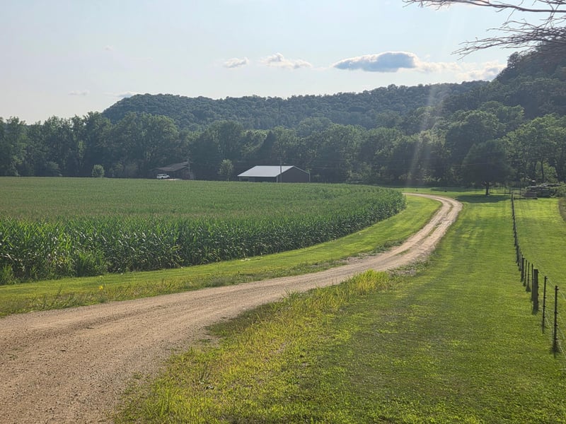 4488 Ferndale Rd, Rushford, MN 55971