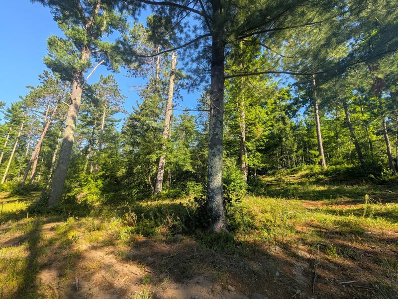 3380 W Highway 63, Springbrook, WI 54875
