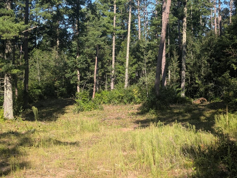 3380 W Highway 63, Springbrook, WI 54875