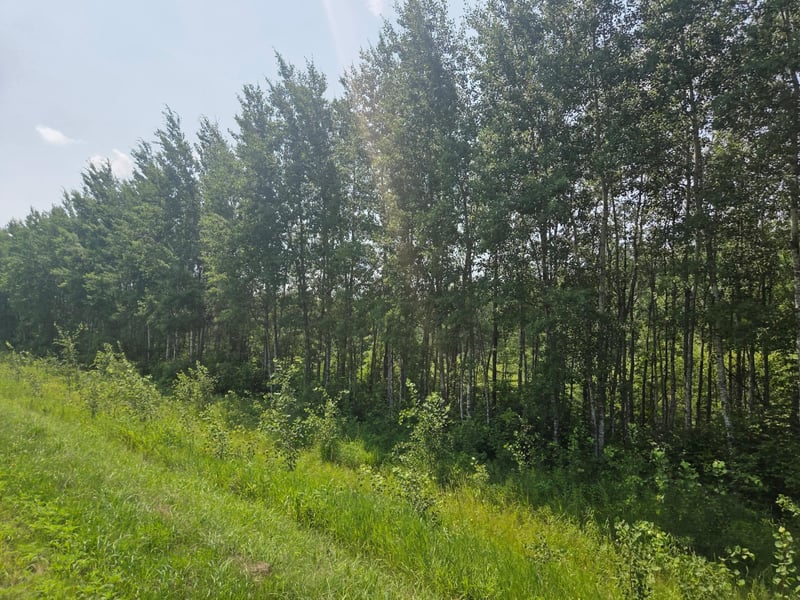County Road 53 E County Road 53, Mizpah, MN 56660