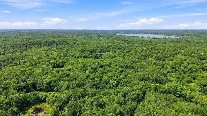TBD Chippewa Trl, Luck, WI 54853