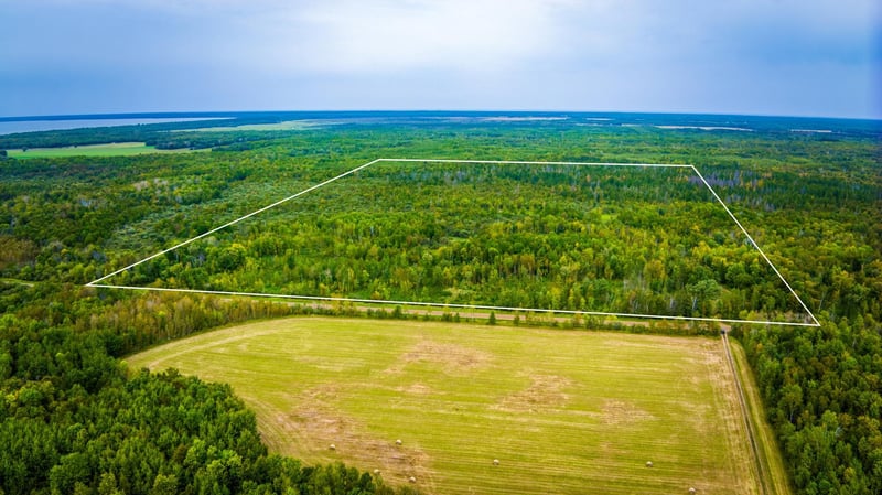 12479 Battle Rd NE, Blackduck, MN 56630