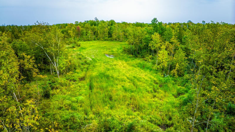 12479 Battle Rd NE, Blackduck, MN 56630
