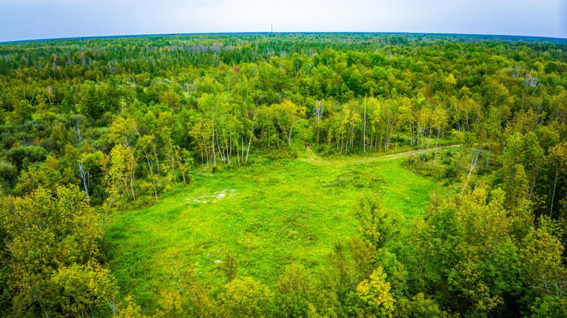 12479 Battle Rd NE, Blackduck, MN 56630