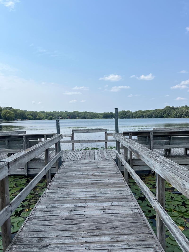 226 Mccarrons Pl W, Roseville, MN 55113