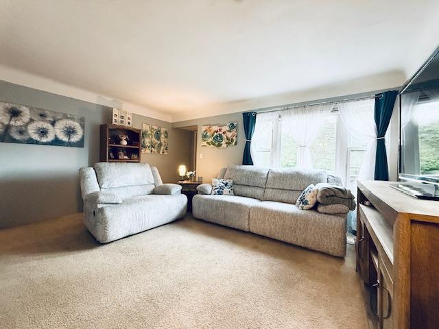 22710 Northmen St, Brook Park, MN 55007
