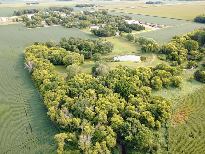 TBD Cottonwood St, Revere, MN 56166