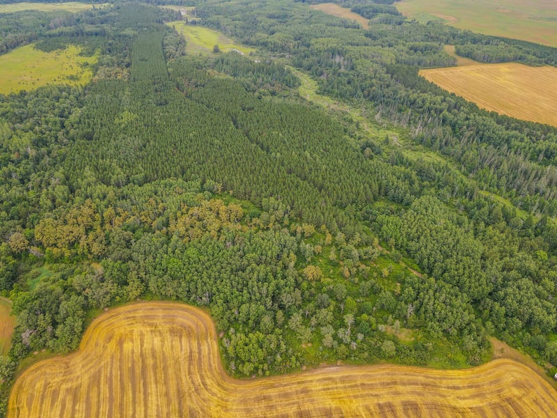 TBD 285th St, Osage, MN 56570