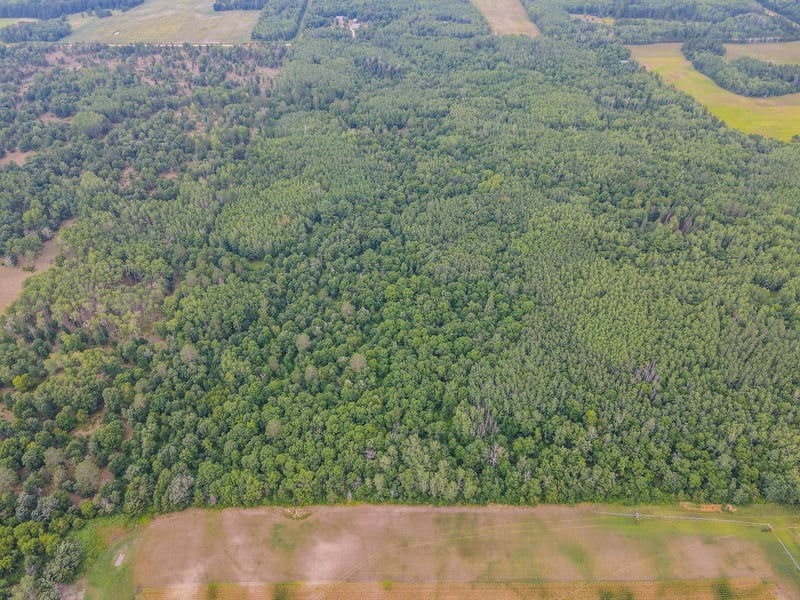 TBD County Road 125, Park Rapids, MN 56470