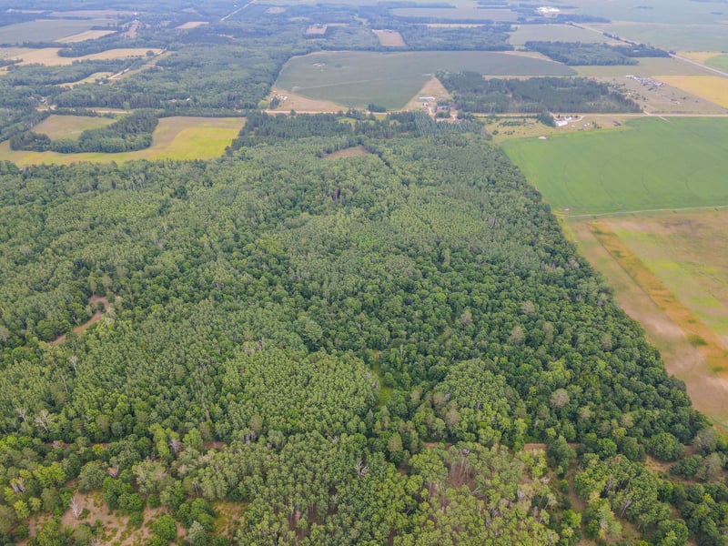 TBD County Road 125, Park Rapids, MN 56470