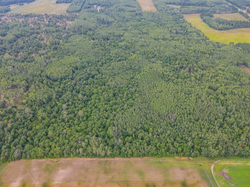 TBD County Road 125, Park Rapids, MN 56470