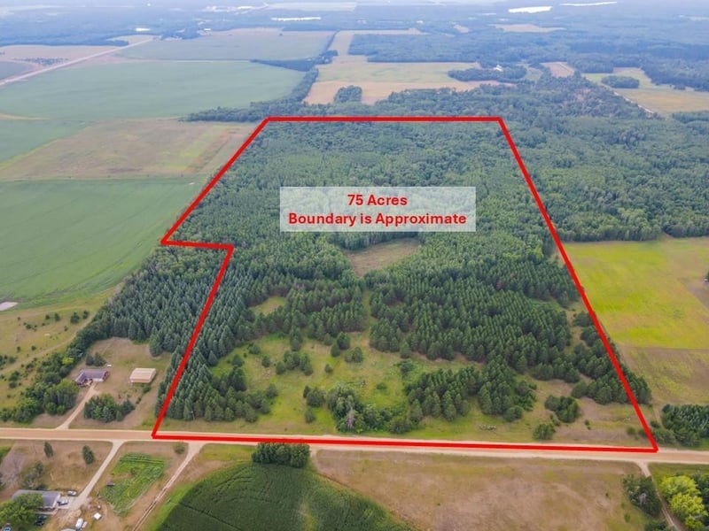 TBD County Road 125, Park Rapids, MN 56470