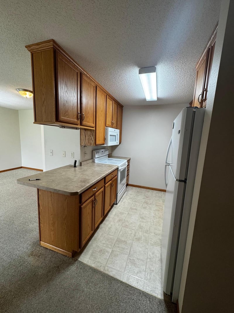 307 Roseland Ave #5, Prinsburg, MN 56281