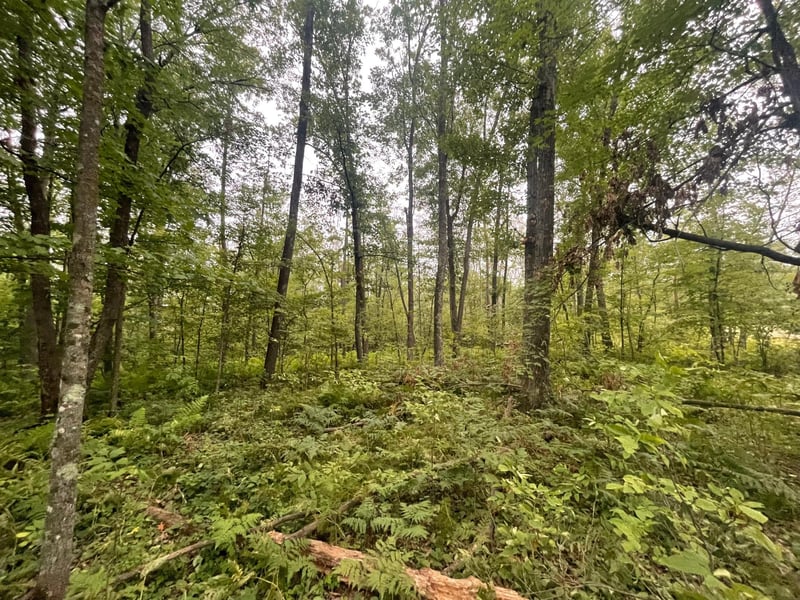 2668 Quail St, Brook Park, MN 55007