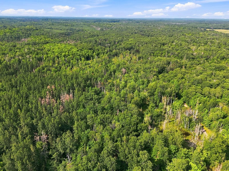 5197 E Koenen Rd, South Range, WI 54874