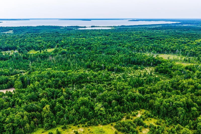 TBD Scenic Hw, Pennington, MN 56633