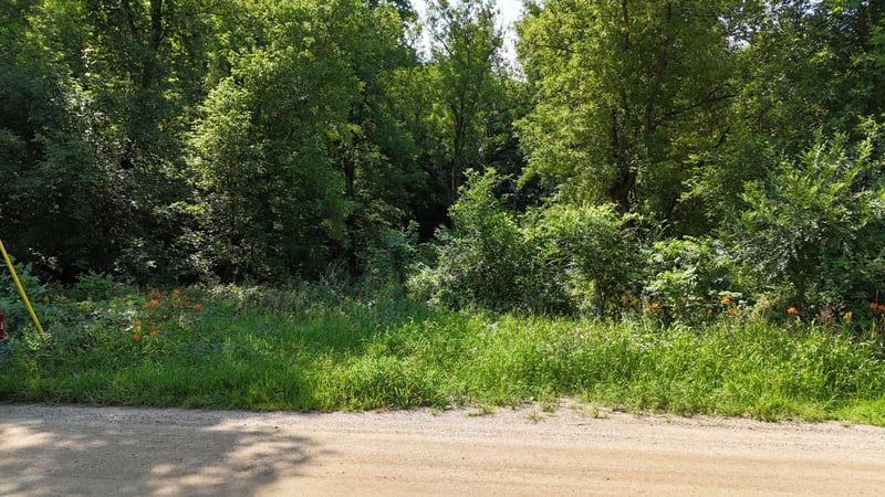 16XXX 107th St NW, South Haven, MN 55382
