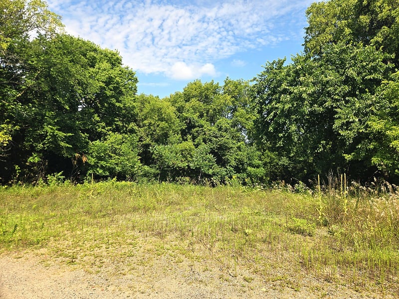 16XXX 107th St NW, South Haven, MN 55382