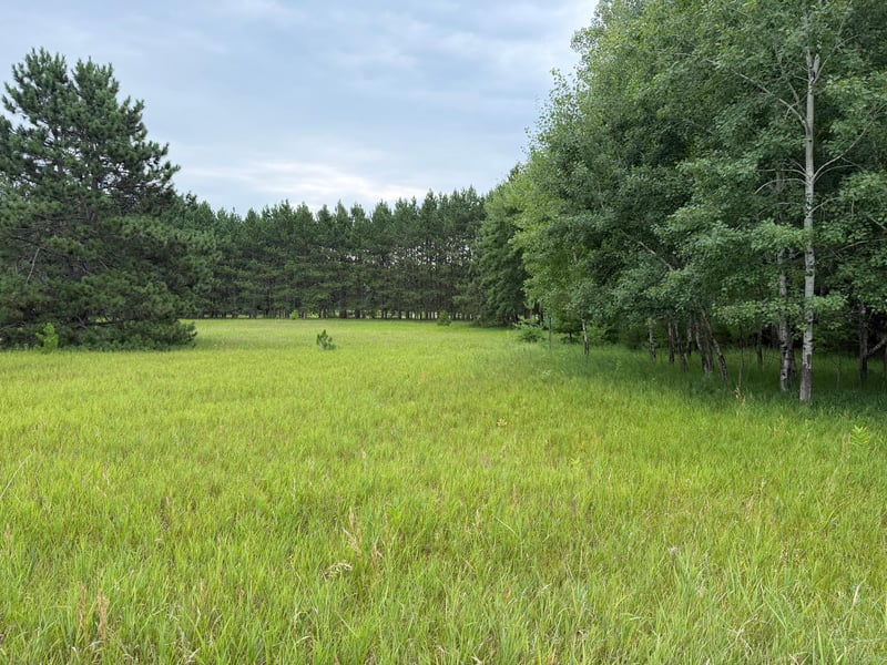 Lot 44 Hanscom Lake Trail Way, Danbury, WI 54830