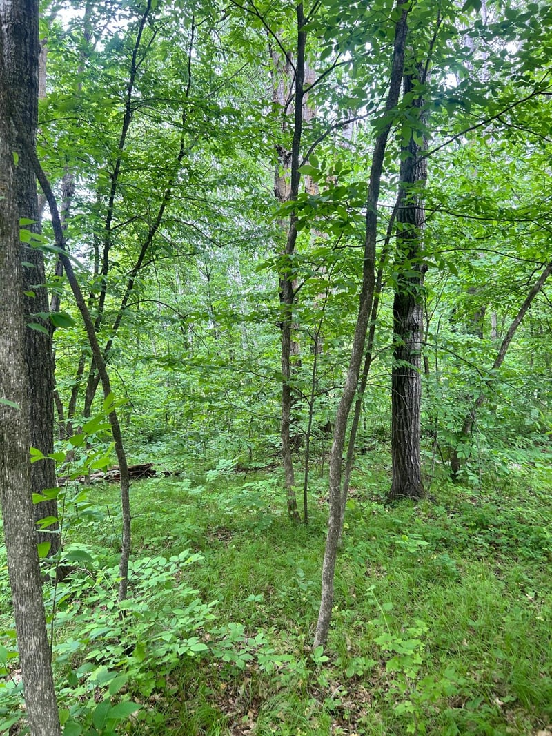 TBD Flintstone Rd, Cushing, MN 56443