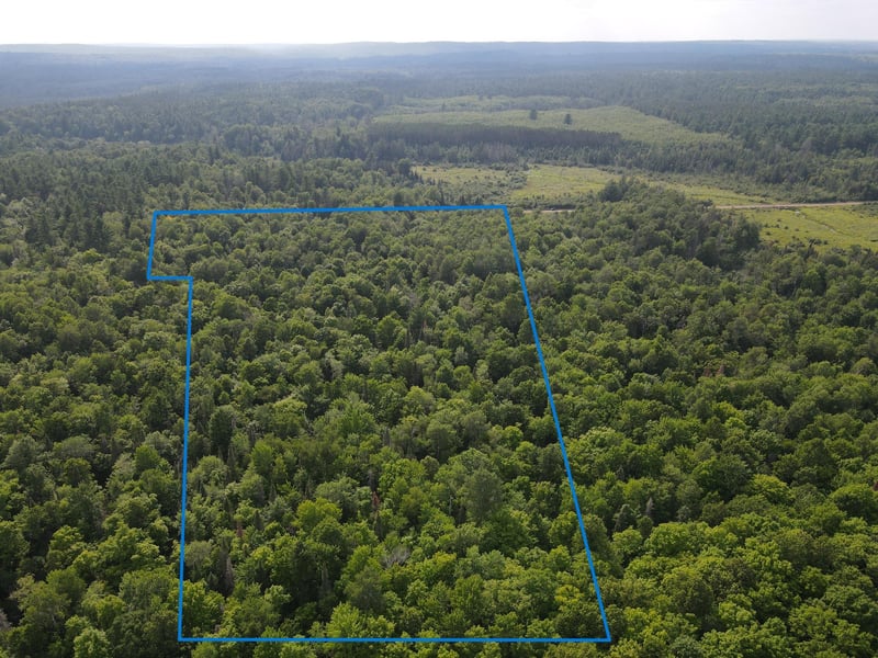 LOT 3 Smith Rd, Couderay, WI 54828
